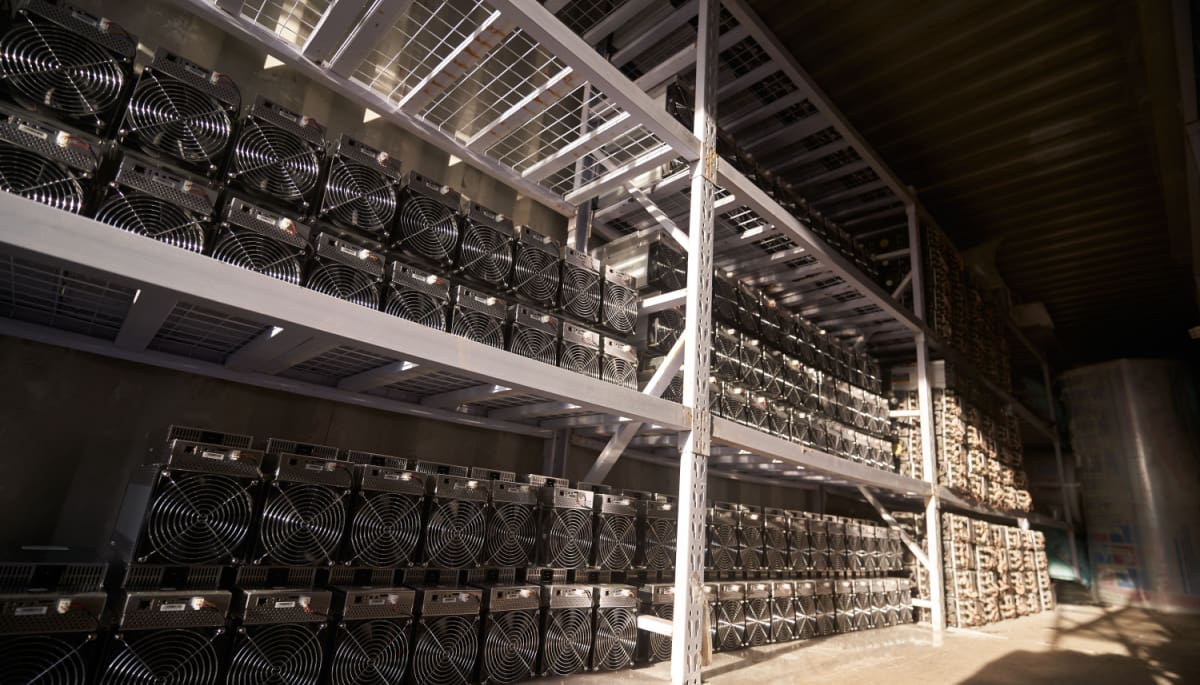 Uit de dood opgestane Bitcoin miner bloeit en verplettert concurrentie Uit de dood opgestane Bitcoin miner bloeit en verplettert concurrentie