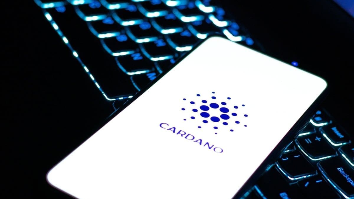 Cardano-Wale kaufen weiter zu – sie besitzen inzwischen 67 Prozent des Angebots Cardano-Wale kaufen weiter zu – sie besitzen inzwischen 67 Prozent des Angebots