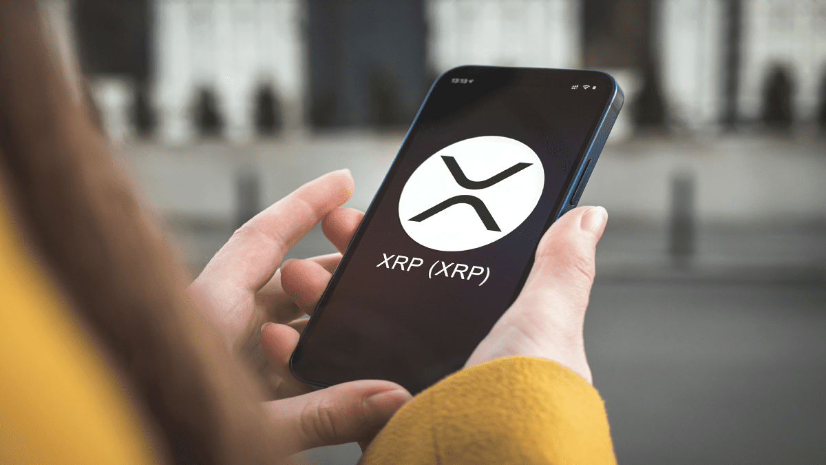 XRP bricht historischen Rekord: Noch nie gab es so viele große Wallets XRP bricht historischen Rekord: Noch nie gab es so viele große Wallets
