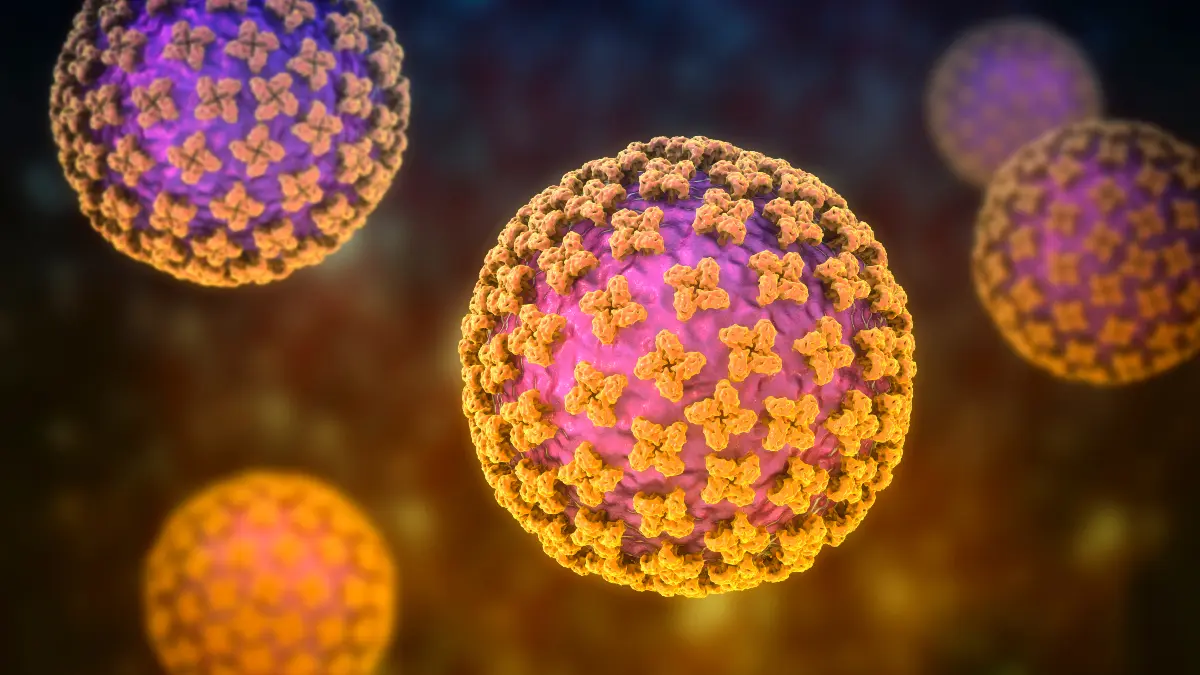 Afbeelding van het Hantavirus Afbeelding van het Hantavirus